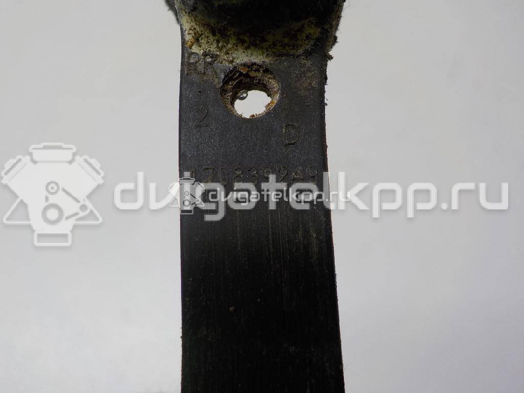 Фото Ограничитель двери  1Z0839249D для skoda Octavia (A5 1Z-) {forloop.counter}}