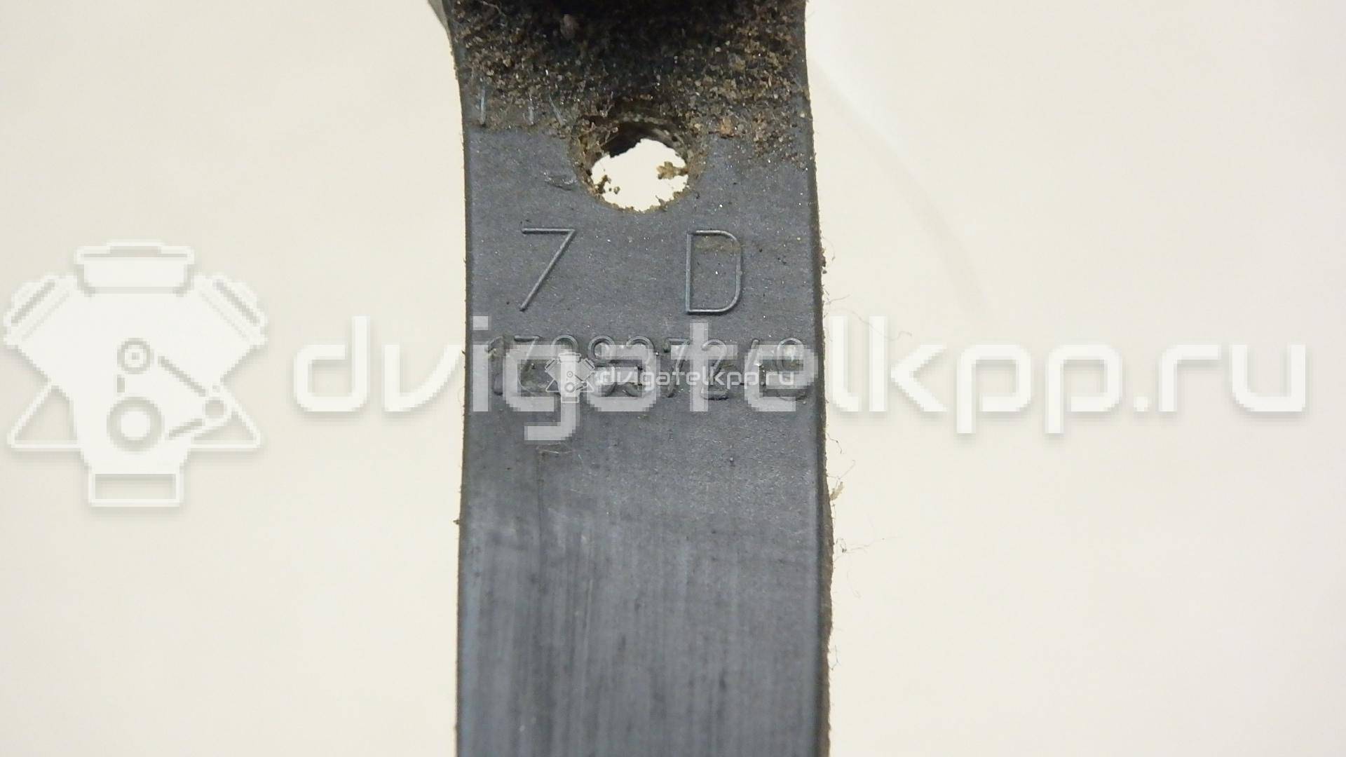 Фото Ограничитель двери  1Z0837249D для skoda Octavia (A5 1Z-) {forloop.counter}}