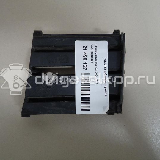 Фото Решетка в бампер правая  1Z0853666 для Skoda Octavia / Octaviaii 1Z3