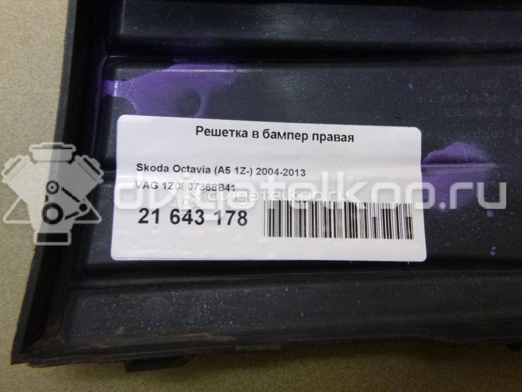 Фото Решетка в бампер правая  1Z0807368B41 для Skoda Octavia / Octaviaii 1Z3 {forloop.counter}}