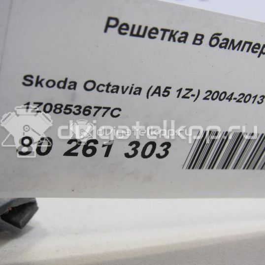 Фото Решетка в бампер центральная  1Z0853677C для Skoda Octavia / Octaviaii 1Z3