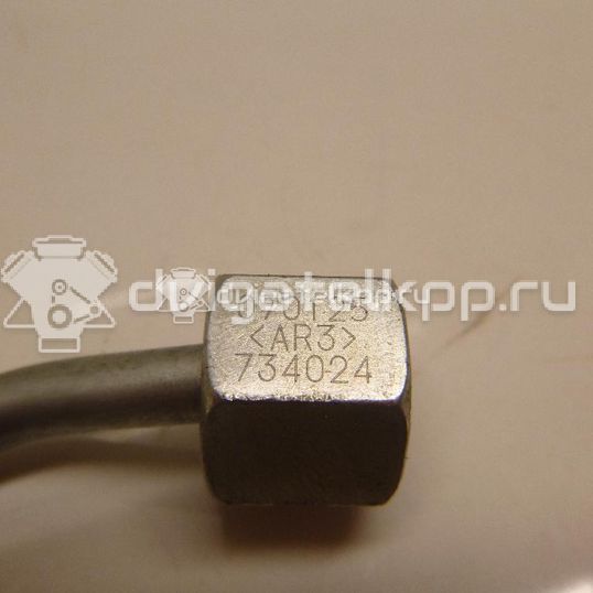 Фото Трубка ТНВД для двигателя M9R для Nissan Qashqai / X-Trail 150-177 л.с 16V 2.0 л Дизельное топливо 1681800Q0K