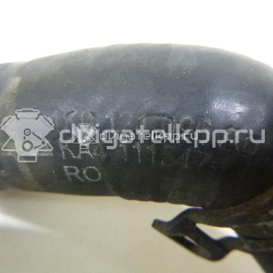 Фото Шланг системы охлаждения  1K0121096AB для Skoda Octavia / Octaviaii 1Z3 / Superb