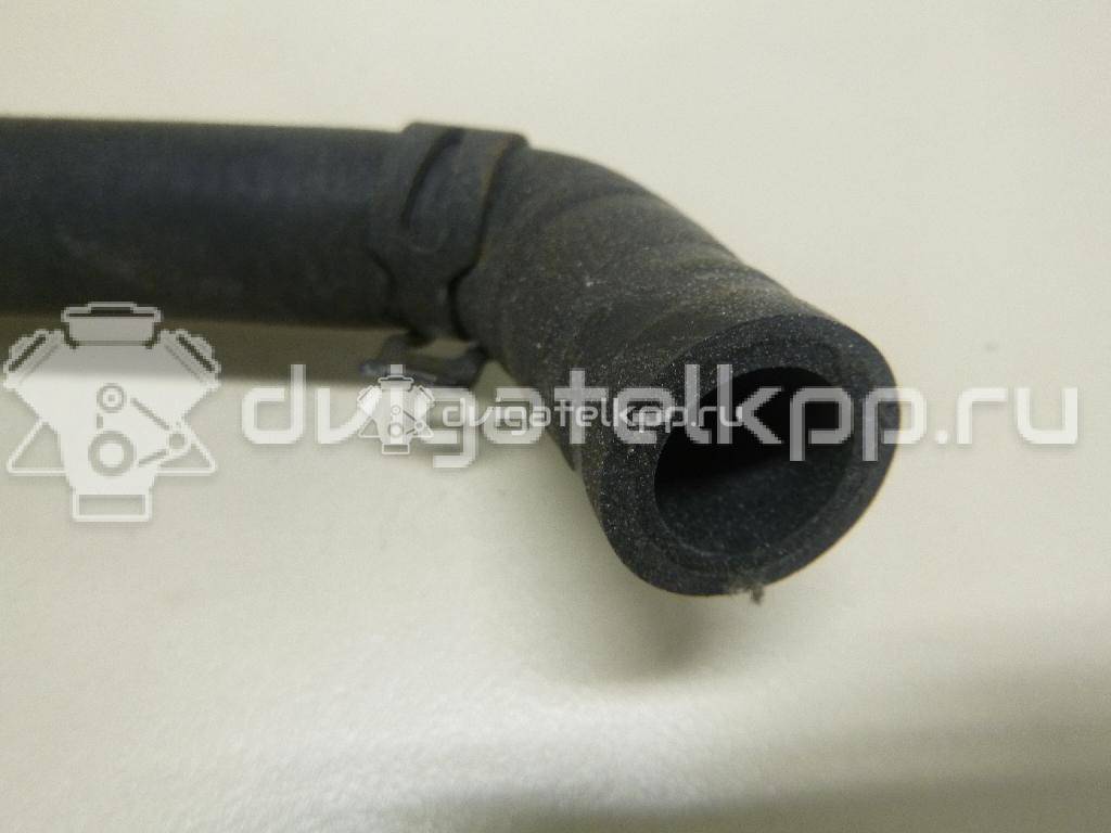 Фото Шланг системы охлаждения  1K0121096AB для Skoda Octavia / Octaviaii 1Z3 / Superb {forloop.counter}}