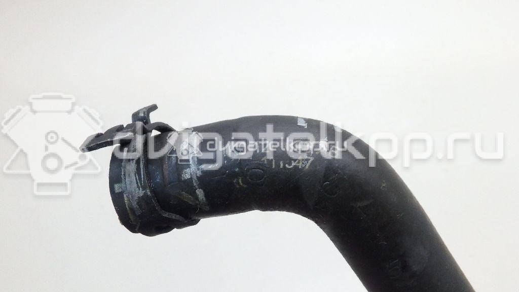 Фото Шланг системы охлаждения  1K0121096AB для Skoda Octavia / Octaviaii 1Z3 / Superb {forloop.counter}}