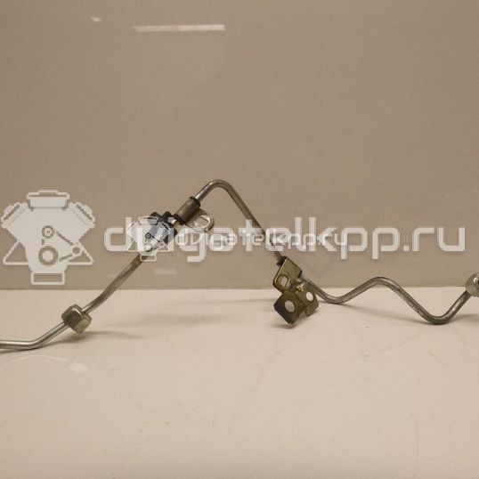 Фото Трубка топливная для двигателя M9R для Nissan Qashqai / X-Trail 150-177 л.с 16V 2.0 л Дизельное топливо 1668400QAC