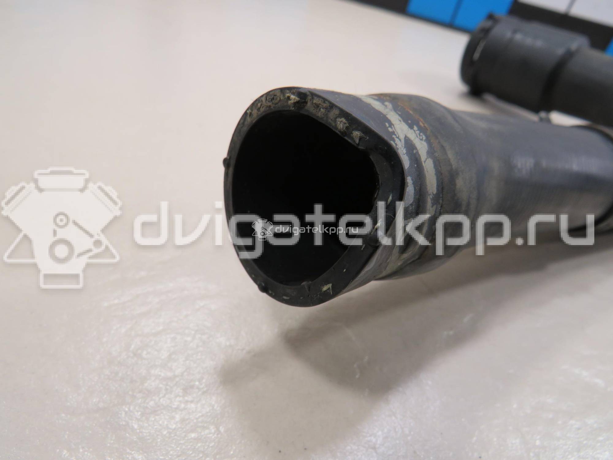 Фото Патрубок радиатора  8D0121101K для Skoda Superb {forloop.counter}}