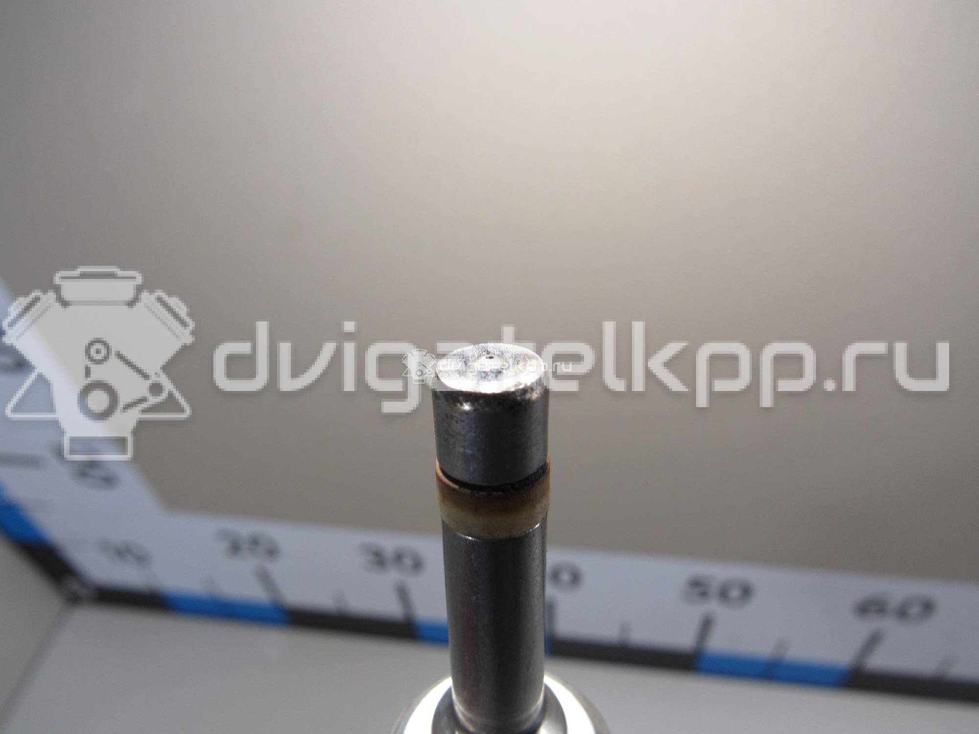 Фото Форсунка инжекторная электрическая  03h906036a для porsche Cayenne {forloop.counter}}