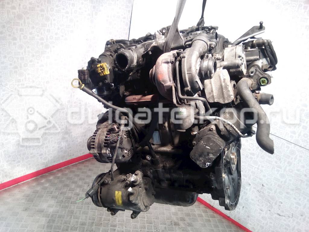 Фото Контрактный (б/у) двигатель G8DB для Ford Focus 109 л.с 16V 1.6 л Дизельное топливо 0083696 {forloop.counter}}