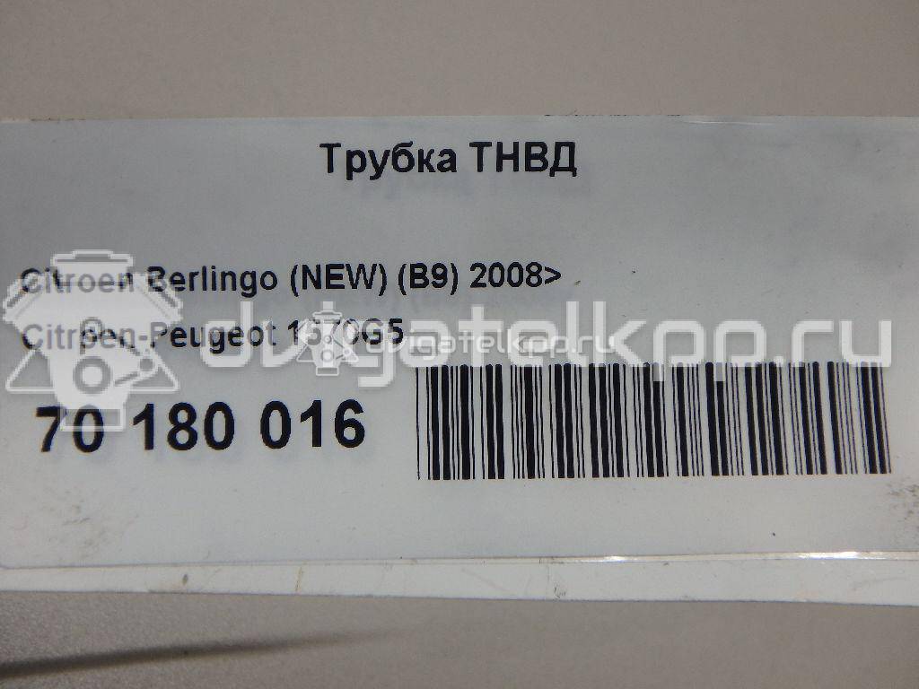 Фото Трубка ТНВД для двигателя 9HZ (DV6TED4) для Peugeot 407 / 3008 / 5008 / 1007 Km / 206 109-114 л.с 16V 1.6 л Дизельное топливо 1570G5 {forloop.counter}}