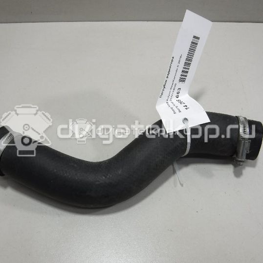 Фото Патрубок радиатора  2142134040 для ssang yong Actyon New/Korando C