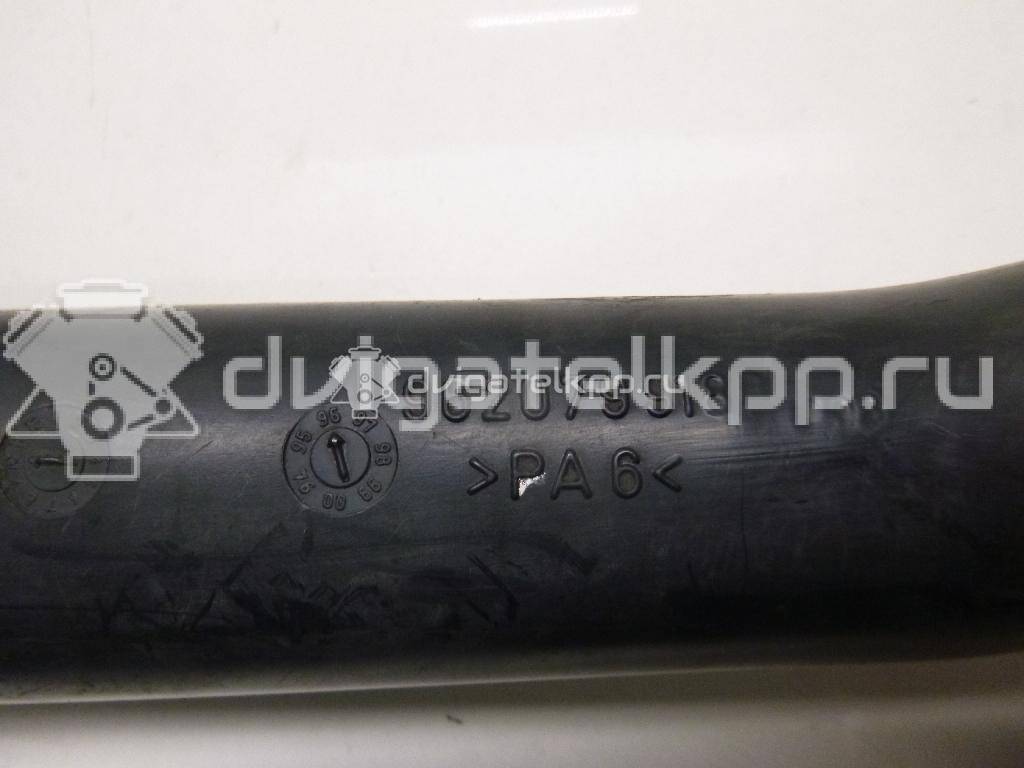 Фото Патрубок интеркулера для двигателя DHX (XUD9TE) для Peugeot 406 / 806 221 / Expert 90 л.с 8V 1.9 л Дизельное топливо 14248C {forloop.counter}}