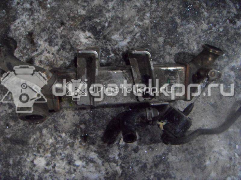 Фото Радиатор системы EGR для двигателя M9R 830 для Renault Koleos 173-177 л.с 16V 2.0 л Дизельное топливо 8200719993 {forloop.counter}}