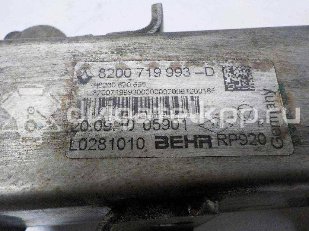 Фото Радиатор системы EGR для двигателя M9R 830 для Renault Koleos 173-177 л.с 16V 2.0 л Дизельное топливо 8200719993 {forloop.counter}}