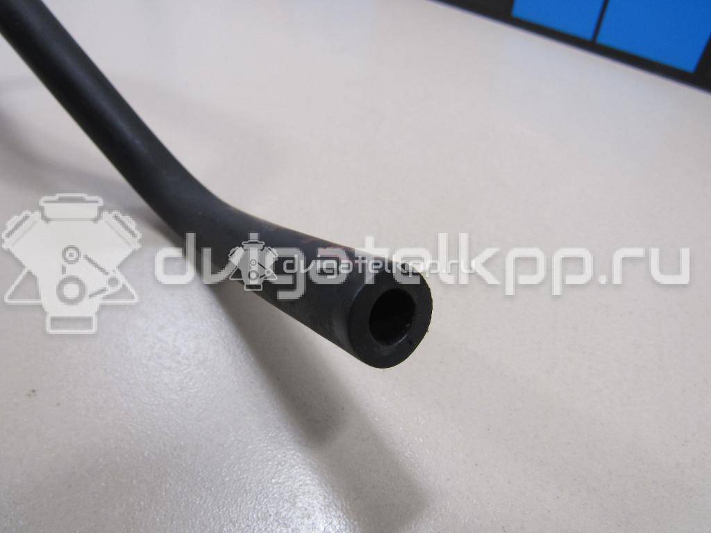 Фото Шланг топливный для двигателя CFNA для Seat Toledo 105 л.с 16V 1.6 л бензин 036133514E {forloop.counter}}