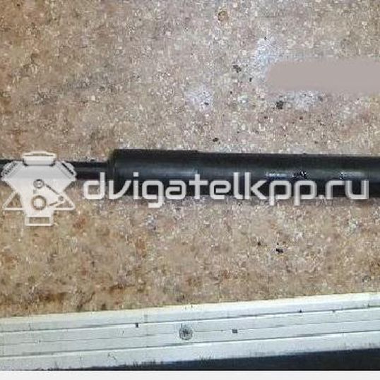 Фото Амортизатор двери багажника  8180162811 для Suzuki Swift