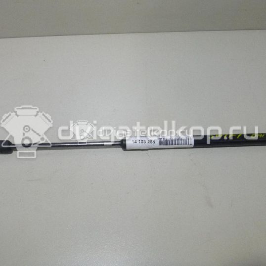 Фото Амортизатор двери багажника  8180162811 для Suzuki Swift