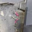 Фото Бампер задний  7181180j00799 для suzuki SX4 {forloop.counter}}