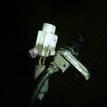 Фото Датчик ABS задний правый  5631079j00 для Suzuki Sx4 {forloop.counter}}
