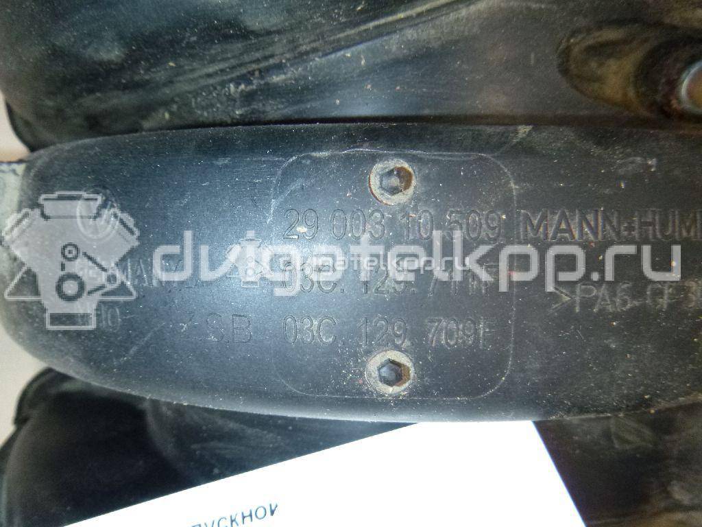 Фото Коллектор впускной для двигателя BLF для Skoda Octavia / Octaviaii 1Z3 115 л.с 16V 1.6 л бензин 03C129711F {forloop.counter}}