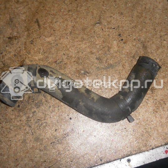 Фото Патрубок радиатора  1657130060 для Toyota Land Cruiser