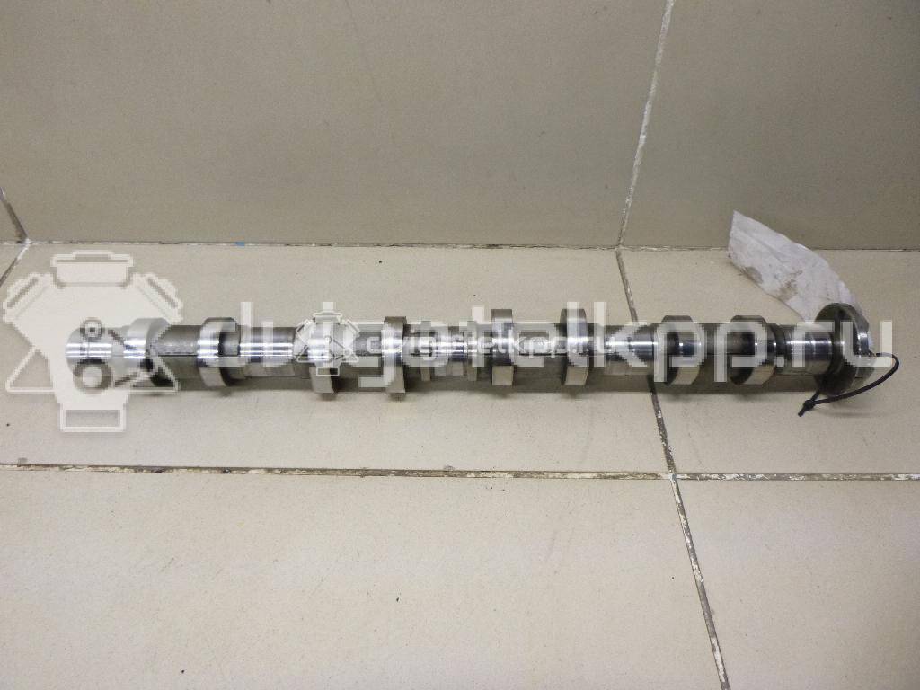 Фото Распредвал выпускной для двигателя D20DT для Ssang Yong Korando / Kyron / Actyon 136-150 л.с 16V 2.0 л Дизельное топливо 6640500401 {forloop.counter}}