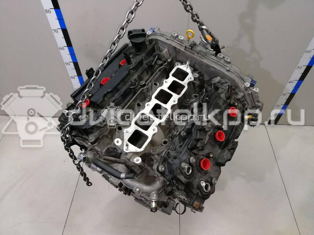 Фото Контрактный (б/у) двигатель VQ35HR для Infiniti / Mitsuoka / Mitsubishi / Nissan 298-364 л.с 24V 3.5 л бензин 10102jk6m1 {forloop.counter}}