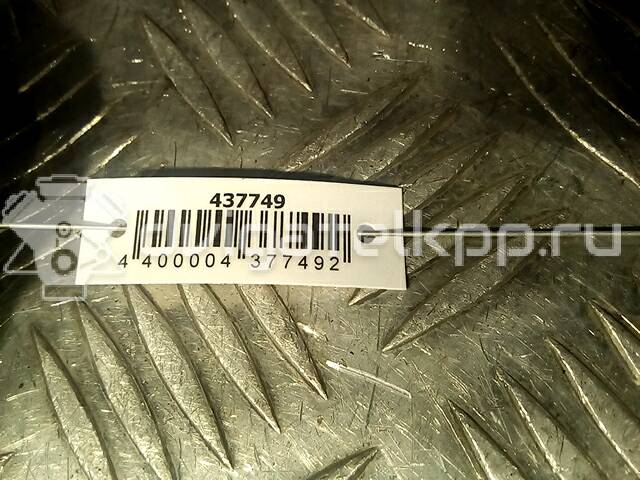 Фото Амортизатор капота  8D0823359B для Audi 100 / Allroad / A4 / A6 {forloop.counter}}