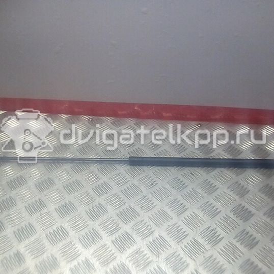 Фото Амортизатор капота  8E0823359A для Audi A4