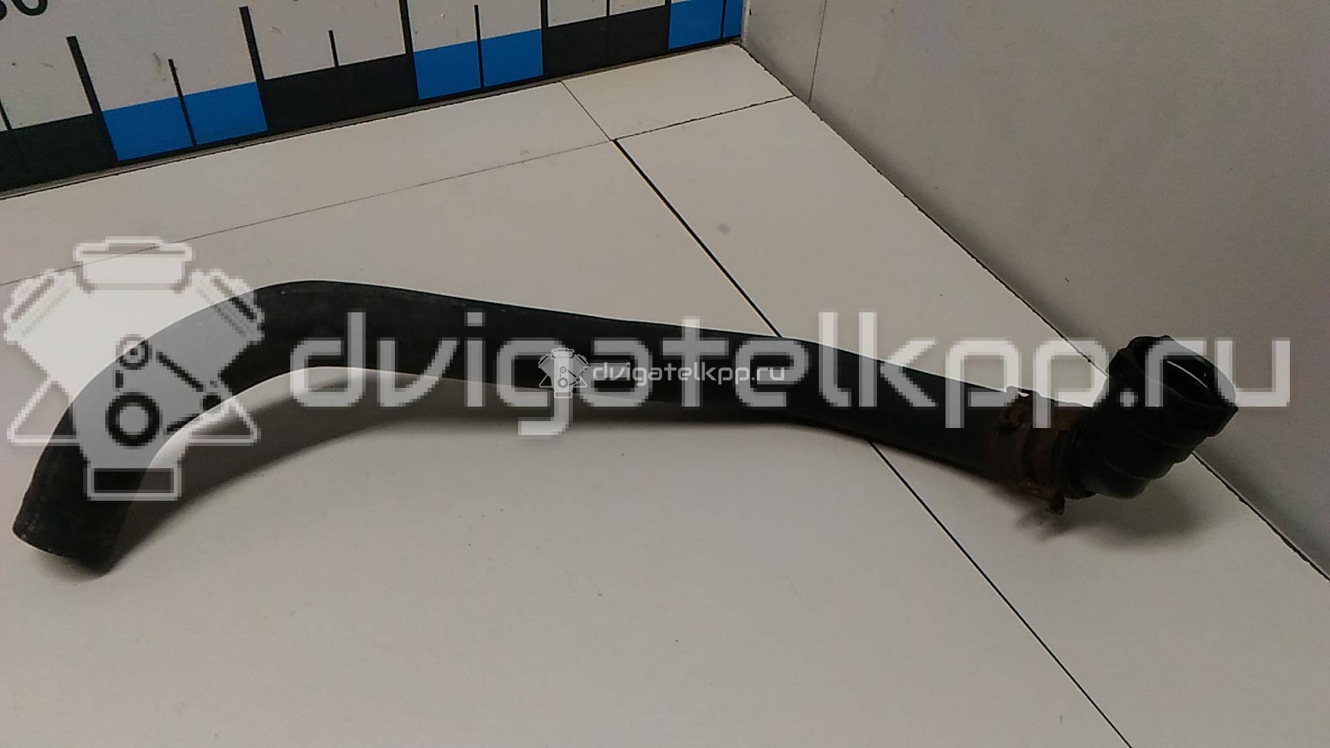 Фото Патрубок радиатора  19506RL5A01 для acura TSX {forloop.counter}}