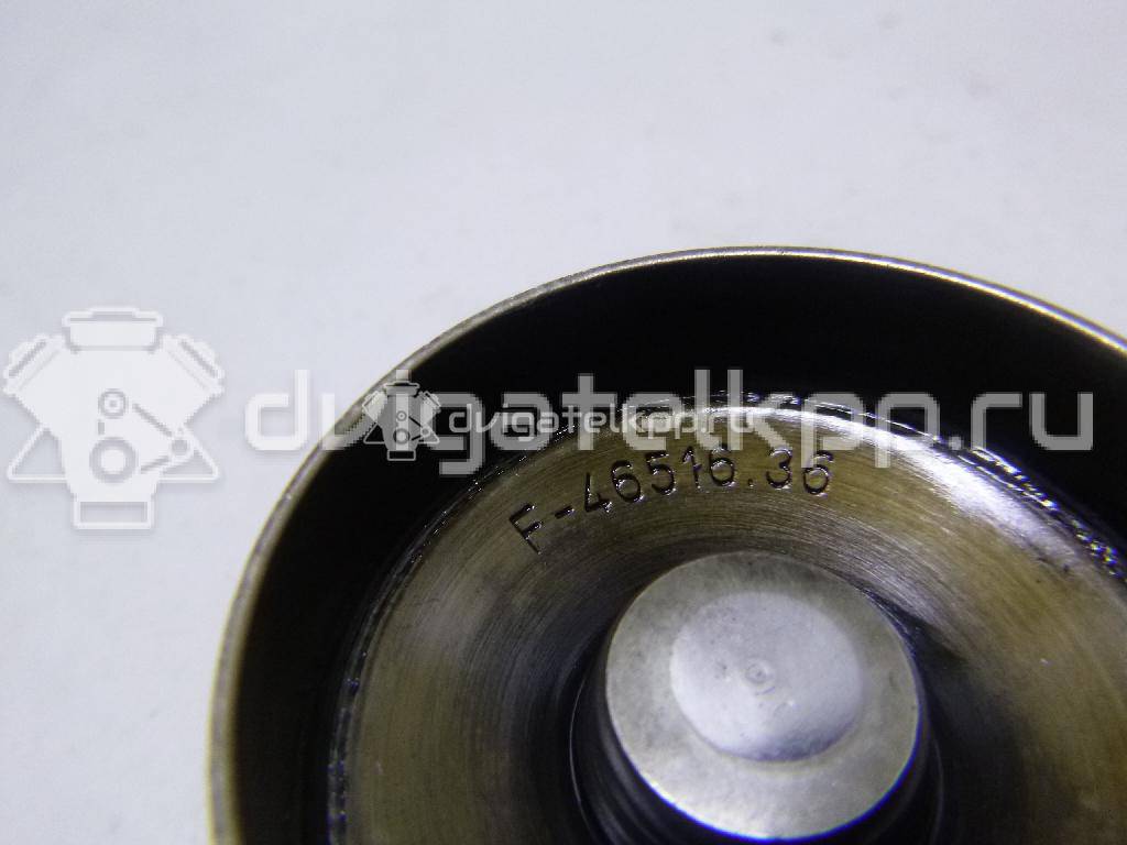 Фото Толкатель клапана гидравлический  034109309AD для Audi Quattro 85 / A4 / A6 / 100 / A3 {forloop.counter}}