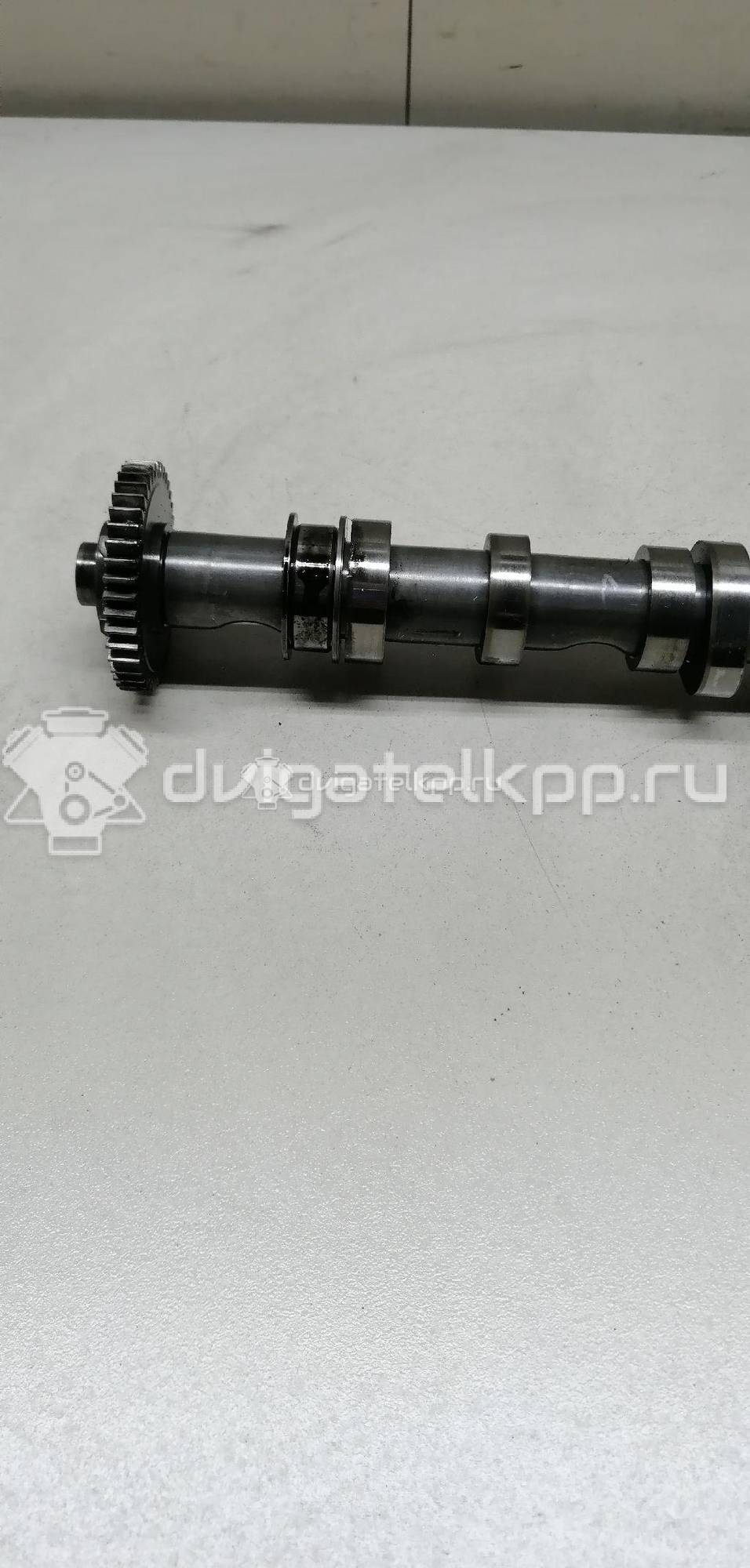 Фото Распредвал выпускной  03L109022D для Audi A4 / A6 / A3 / A5 / Tt {forloop.counter}}