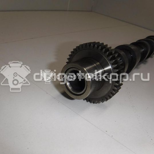 Фото Распредвал выпускной для двигателя BUG для Audi Q7 233 л.с 24V 3.0 л Дизельное топливо 059109022BE