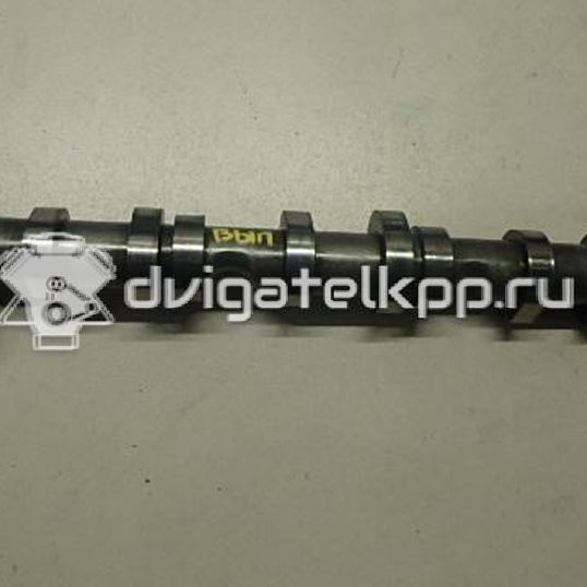 Фото Распредвал выпускной для двигателя BUG для Audi Q7 233 л.с 24V 3.0 л Дизельное топливо 059109022BE