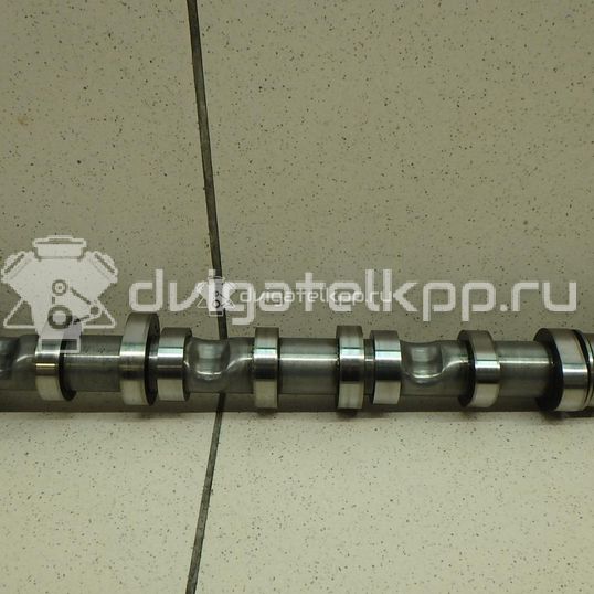 Фото Распредвал выпускной для двигателя BUG для Audi Q7 233 л.с 24V 3.0 л Дизельное топливо 059109022BE
