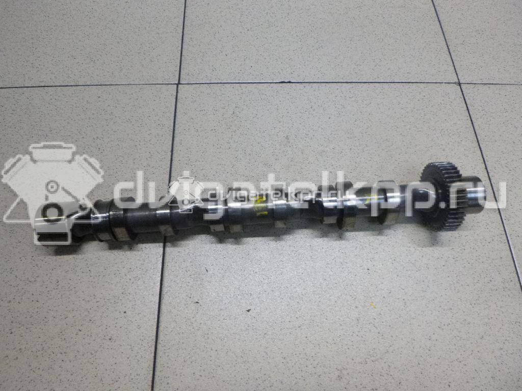 Фото Распредвал выпускной для двигателя BUG для Audi Q7 233 л.с 24V 3.0 л Дизельное топливо 059109022BE {forloop.counter}}