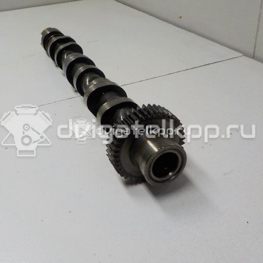 Фото Распредвал выпускной для двигателя BUG для Audi Q7 233 л.с 24V 3.0 л Дизельное топливо 059109022BE