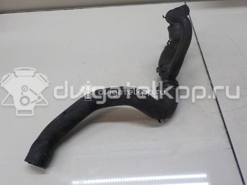 Фото Патрубок  1K0121096AQ для audi A3 [8P1] {forloop.counter}}