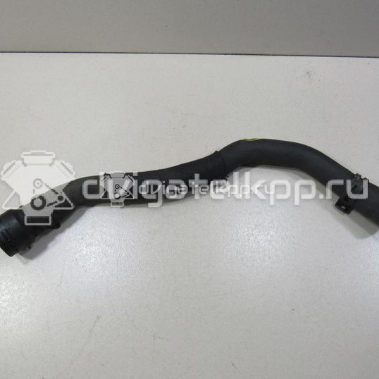 Фото Патрубок радиатора  1k0122051ga для audi A3 [8P1]