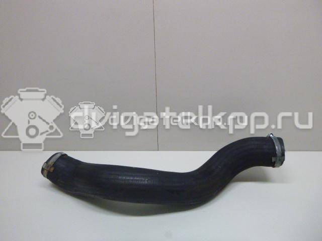 Фото Патрубок интеркулера для двигателя D 4162 T для Volvo V50 Mw / V70 / C30 / V60 / S40 114 л.с 8V 1.6 л Дизельное топливо 31293717 {forloop.counter}}