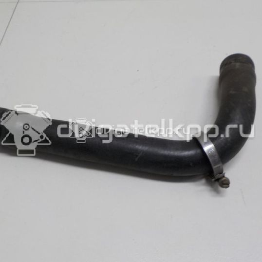 Фото Патрубок радиатора  8D0121101C для Audi A4
