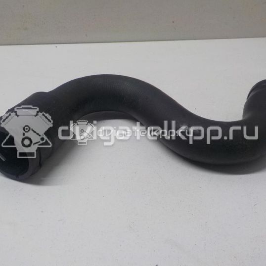 Фото Патрубок радиатора  8D0121101Q для Audi A4