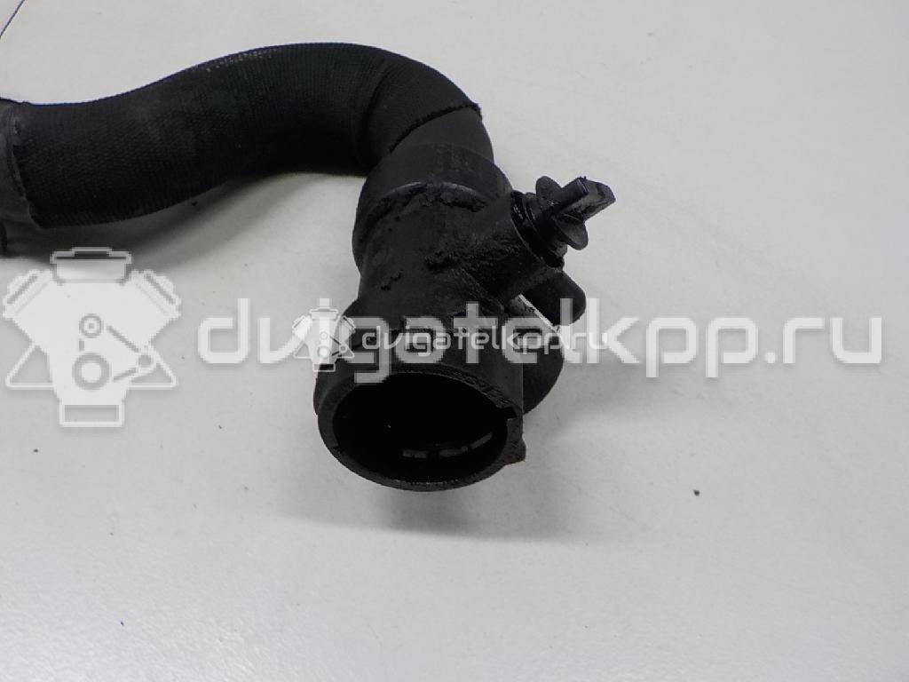 Фото Патрубок радиатора  8E0121055F для Audi A4 {forloop.counter}}