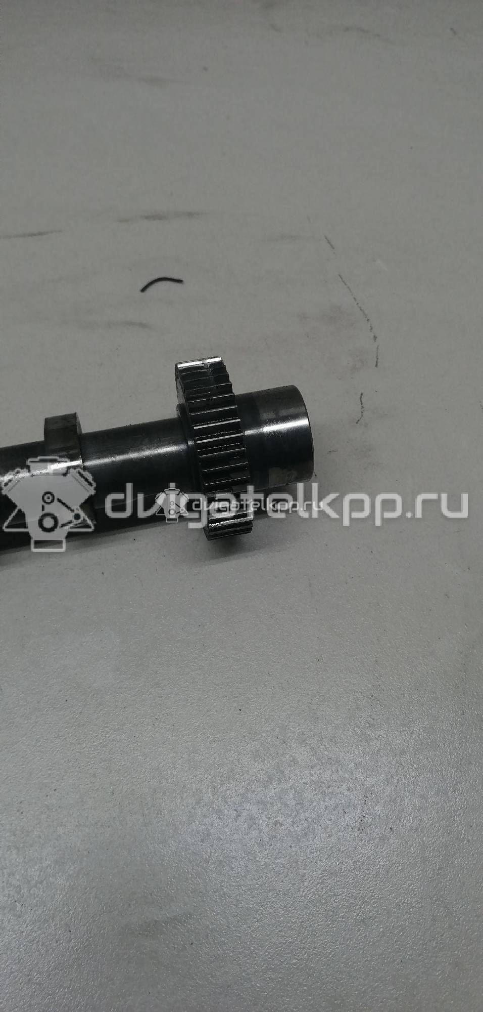 Фото Распредвал выпускной  059109022BE для Audi Q7 / A6 {forloop.counter}}