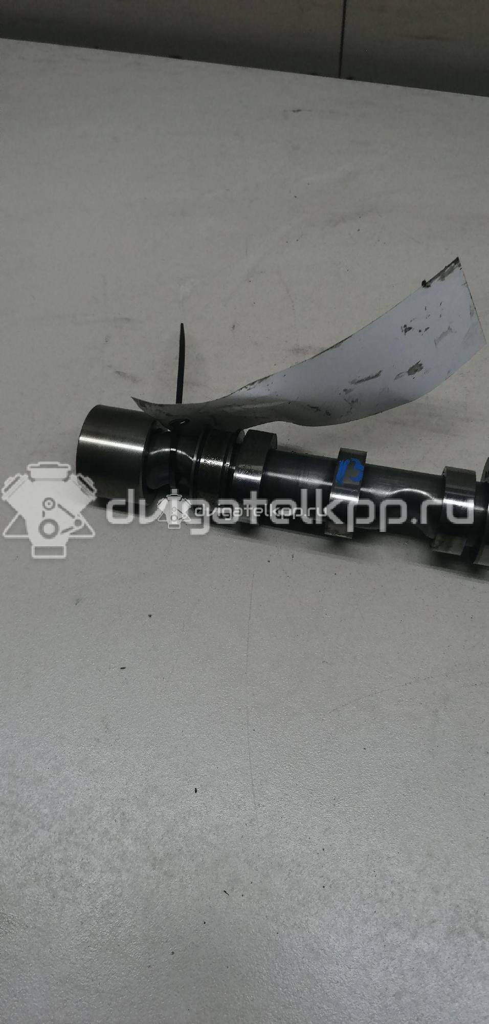 Фото Распредвал выпускной  059109022BE для Audi Q7 / A6 {forloop.counter}}