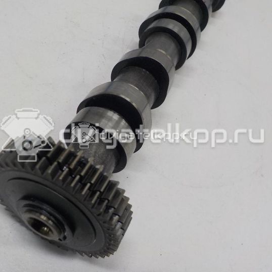 Фото Распредвал выпускной  059109009BL для Audi Q7 / A4 / A6