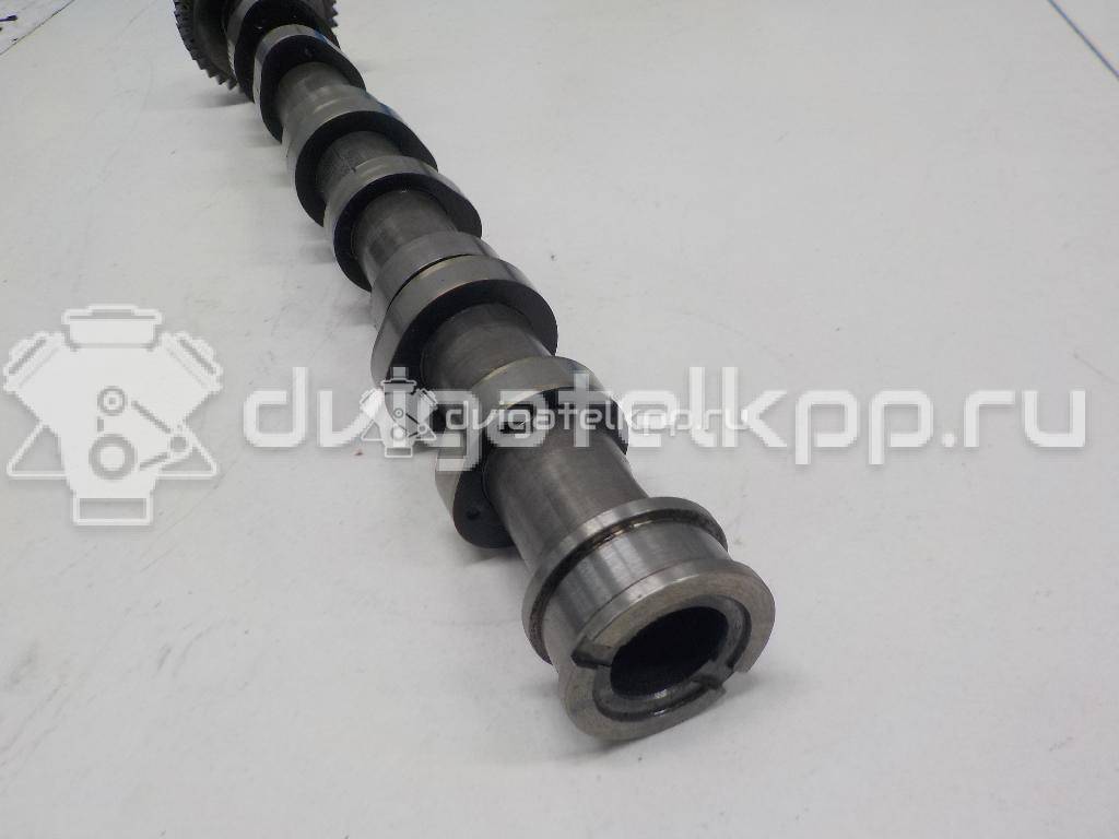 Фото Распредвал выпускной  059109009BL для Audi Q7 / A4 / A6 {forloop.counter}}