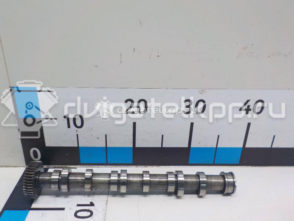 Фото Распредвал выпускной  059109009BL для Audi Q7 / A4 / A6 {forloop.counter}}