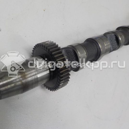 Фото Распредвал впускной  059109021EE для Audi Q7