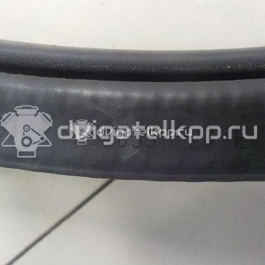Фото Уплотнитель (внутри)  8K5833721E для audi A4 [B8]